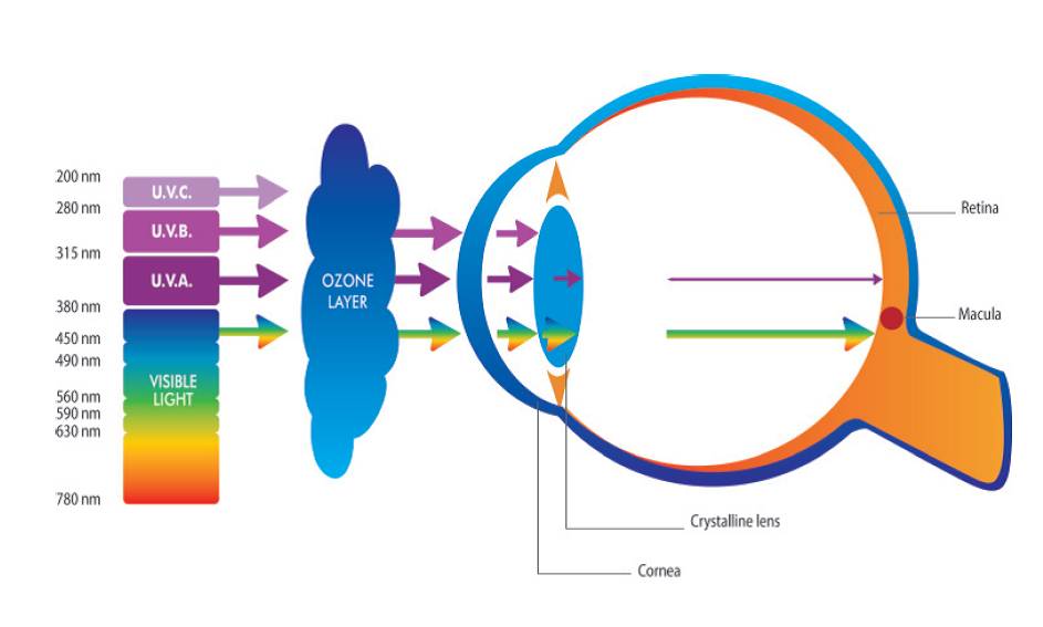 uv diagram