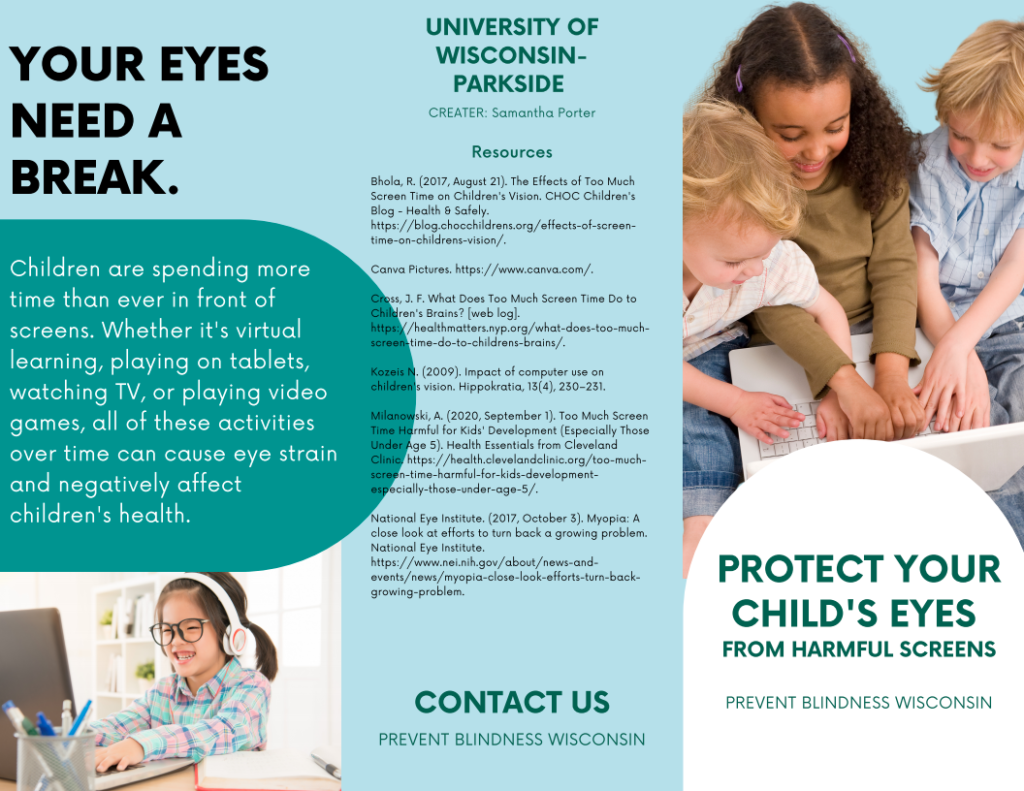 UWParkside Capstone Partnership Prevent Blindness Wisconsin